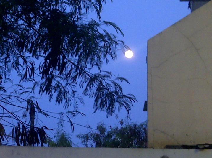 tahun bulan kabisat cina